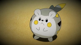 [100+] Togedemaru Wallpapers | Wallpapers.com