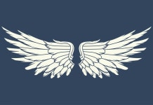 [200+] Wings Pictures | Wallpapers.com
