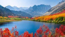 Download Stunning Fall Foliage in 3840 X 2160 Resolution Wallpaper | Wallpapers.com