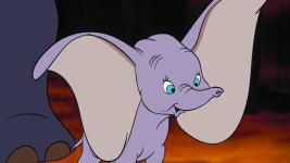 Download Amazed Baby Dumbo Wallpaper | Wallpapers.com