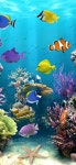 [100+] Aquarium Iphone Wallpapers | Wallpapers.com