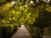 Download Serene View of Bagh-e Babur in Kabul Wallpaper | Wallpapers.com