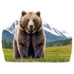 [500+] Bear Png Images | page 10 | Wallpapers.com [500+] Bear Png Images | Wallpapers.com
