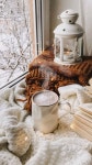Download Cozy Winter Morning By The Window Wallpaper | Wallpapers.com