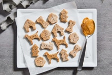 [100+] Dog Treat Pictures | Wallpapers.com