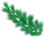 [100+] Tree Leaves Png Images | Wallpapers.com