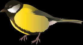 [100+] Birds Png Images | Wallpapers.com
