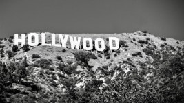 Download Greyscale Hollywood Sign Wallpaper | Wallpapers.com