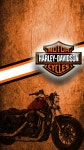 [100+] Harley Davidson Mobile Wallpapers | Wallpapers.com