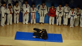 [100+] Hapkido Wallpapers | Wallpapers.com