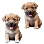 [200+] Puppy Png Images | page 4 | Wallpapers.com [200+] Puppy Png Images | Wallpapers.com