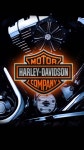 [400+] Harley Backgrounds | page 5 | Wallpapers.com [400+] Harley Backgrounds | Wallpapers.com
