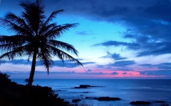 Download Hawaii Sunset Royal Blue Sky Wallpaper | Wallpapers.com