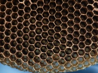 Download Honeycomb Hollowed Inside Wallpaper | Wallpapers.com