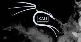 Download Kali Linux OS Dragon Black And White Wallpaper | Wallpapers.com