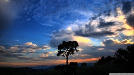 [100+] National Geographic Wallpapers | Wallpapers.com