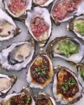 [100+] Oyster Pictures | Wallpapers.com