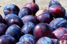 [100+] Purple Plums Wallpapers | Wallpapers.com