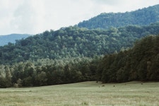 [100+] Smoky Mountains Wallpapers | Wallpapers.com