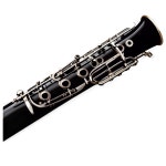 [100+] Oboe Png Images | Wallpapers.com