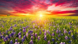 [300+] Texas Backgrounds | page 6 | Wallpapers.com [300+] Texas Backgrounds | Wallpapers.com