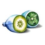 [300+] Watercolor Png Images | Wallpapers.com
