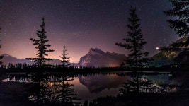 Download 4k Computer Pine Trees And Mountain Wallpaper | Wallpapers.com