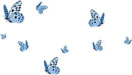 [200+] Blue Butterfly Png Images | Wallpapers.com