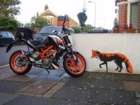 Download Classic Style and Performance: The KTM Duke 390 | Wallpapers.com