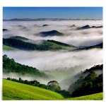 [600+] Fog PNG | Page 3 | Wallpapers.com [600+] Fog PNG | Page 3
