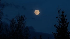 [100+] Hd Moon Wallpapers | Wallpapers.com