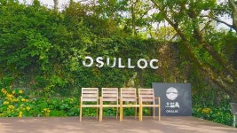 Download Jeju Island O’sulloc Wallpaper | Wallpapers.com