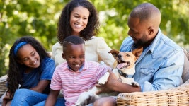 [100+] Dog Family Wallpapers | Wallpapers.com