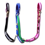 Download Long Dog Leash Png Rwc59 | Wallpapers.com