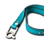 Download Luxury Dog Leash Png Yyk83 | Wallpapers.com