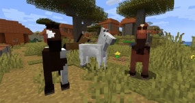 [100+] Minecraft Horses Wallpapers | Wallpapers.com
