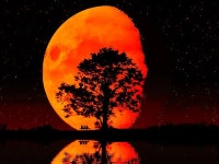 [900+] Moon Backgrounds | page 8 | Wallpapers.com [900+] Moon Backgrounds | Wallpapers.com