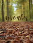[100+] November Iphone Wallpapers | Wallpapers.com