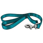 Download Nylon Dog Leash Png Tsx | Wallpapers.com