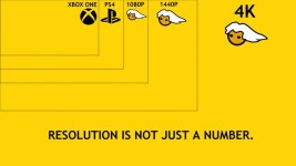Download PC Master Race Resolution Hierarchy Wallpaper | Wallpapers.com