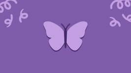 Download Purple Butterfly Cute Pc Background Ideas Wallpaper | Wallpapers.com