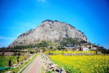 Download Sanbangsan Jeju Island Wallpaper | Wallpapers.com