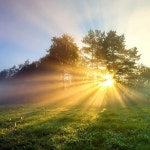 Download A beautiful reddish hue of the setting sun | Wallpapers.com