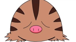 [100+] Swinub Wallpapers | Wallpapers.com