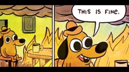 [100+] This Is Fine Wallpapers | Wallpapers.com