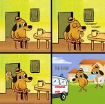 Download This Is Fine Dog Getting Sick Wallpaper | Wallpapers.com