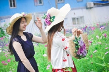 자매 꽃 사진 무료 다운로드 - Lovepik 자매 꽃