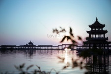 태호 사진 무료 다운로드 - Lovepik 태호
