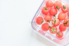 토마토 사진 무료 다운로드 - Lovepik 토마토