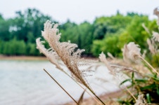  여름 산들바람